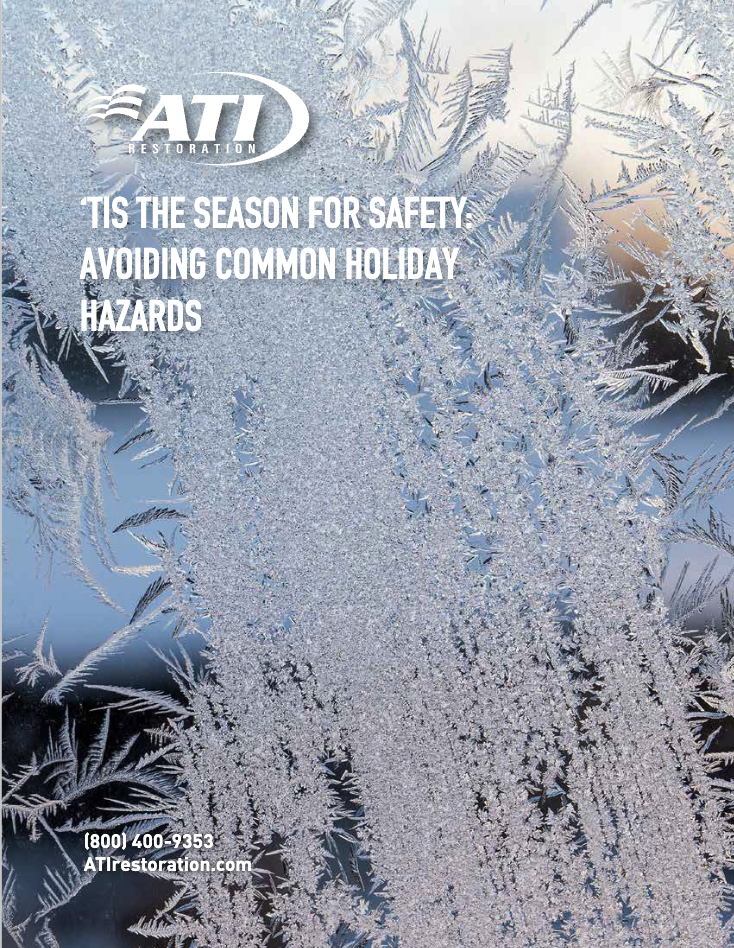 Avoiding Common Holiday Hazards